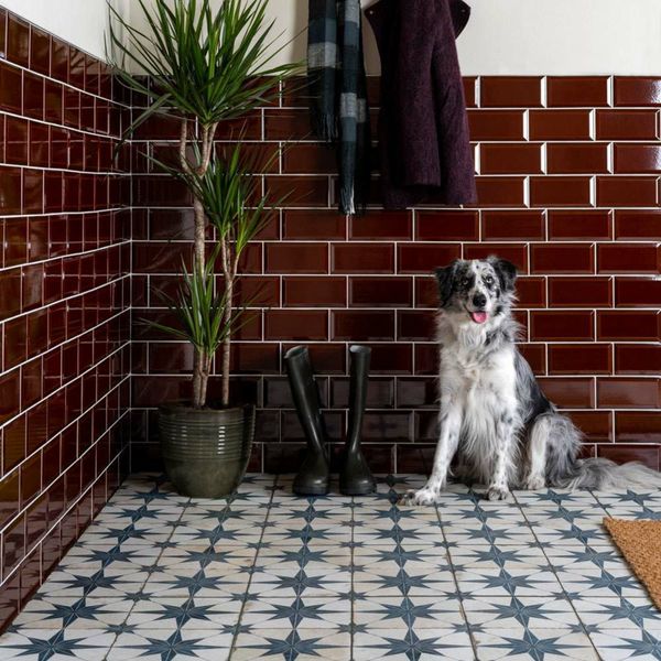 Blue encaustic look floors tiles in Sydney